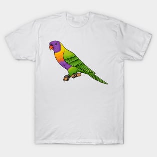 Rainbow lorikeet bird cartoon illustration T-Shirt